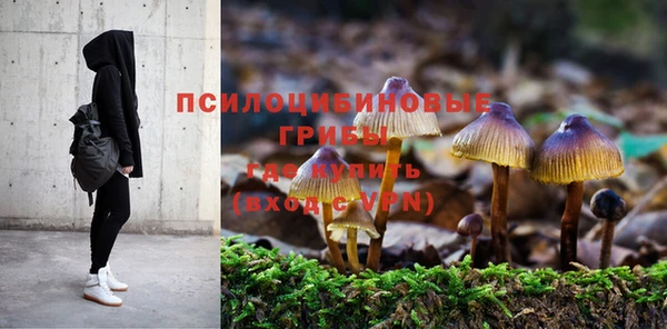 экстази Осташков